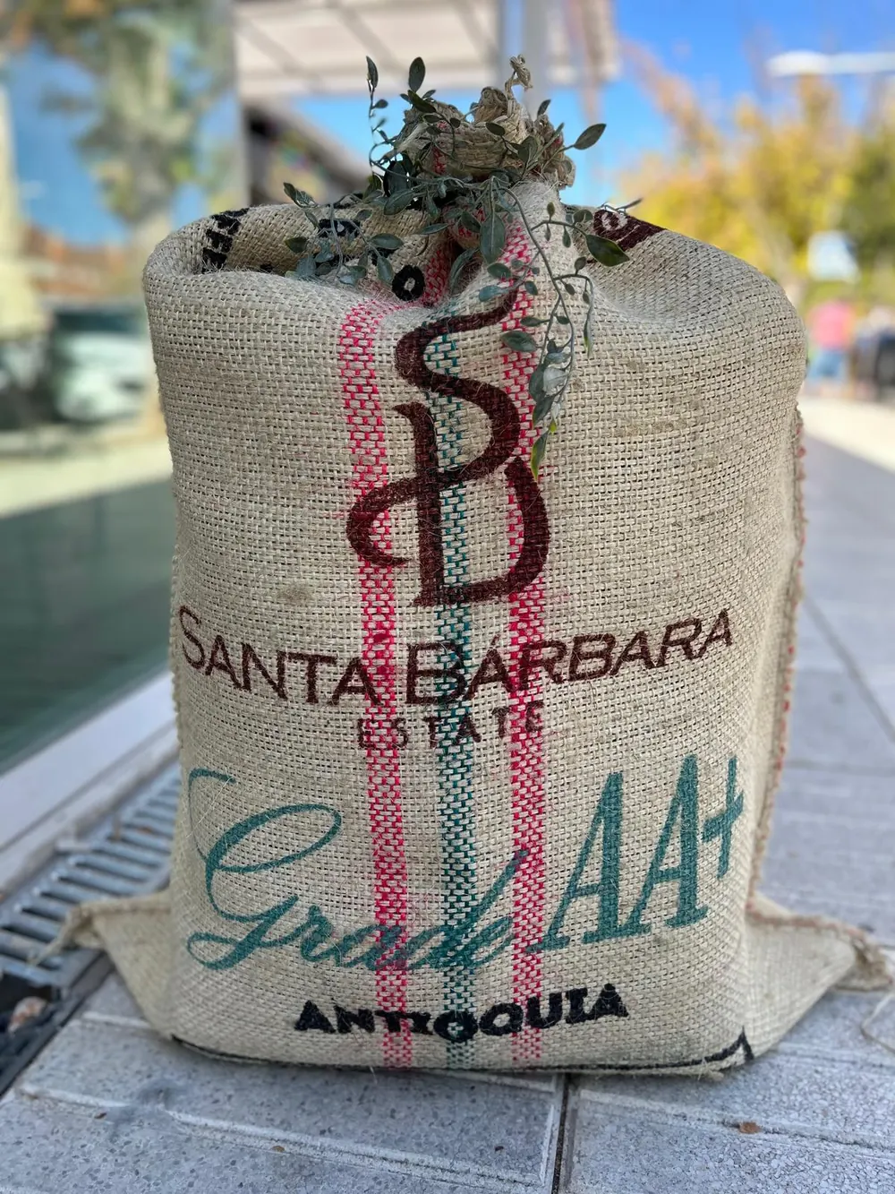 Saco de yute de café Santa Bárbara Estate, Grado AA+, de Antioquia, en la terraza del local